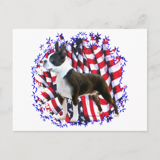 Cartão Postal Boston Terrier Patriot (Frente)