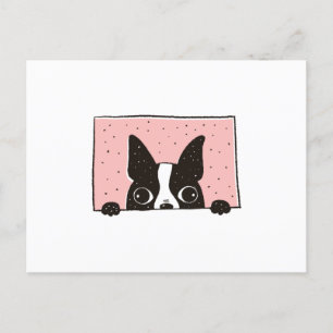 Cartão Postal Boston Terrier Peeking