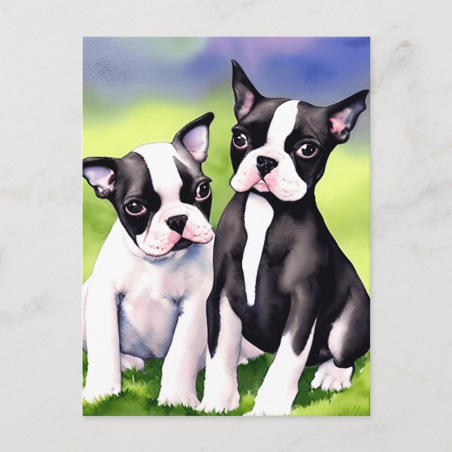 Cartão Postal Boston Terrier Puppies Watercolor (Frente)
