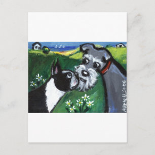 Cartão Postal Boston Terrier & Schnauzer sniff