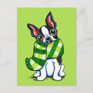 Cartão Postal Boston Terrier Xadrez Scarf Winter