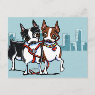 Cartão Postal Boston Terriers Leash