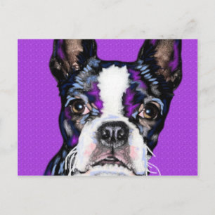 Cartão Postal BostonTerrier