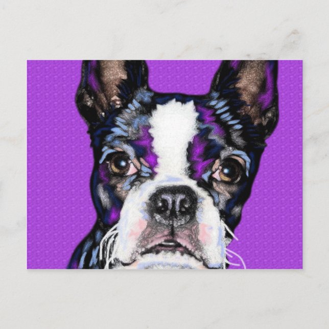 Cartão Postal BostonTerrier (Frente)