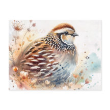 Botânica Aquarela de Codorna
