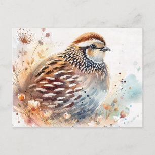 Cartão Postal Botânica Aquarela de Codorna