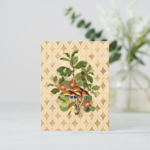 Cartão Postal Botânica da Floresta rico