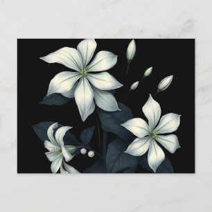 Cartão Postal Botânica Escura de Jasmin de Florada Noturna 