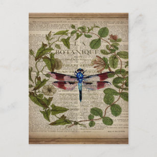 Cartão Postal botânica francesa deixa libélula antiga moderna