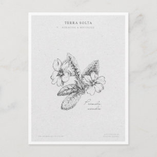 Cartão Postal Botanical Illustration 2 'The Awakening of Spring'