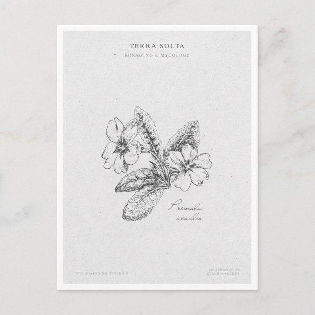 Cartão Postal Botanical Illustration 2 'The Awakening of Spring' (Frente)