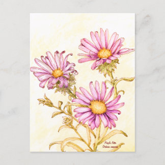 Cartão Postal Botanical wildflower watercolor aster