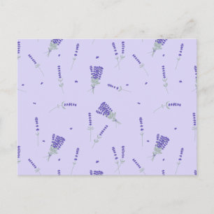 Cartão Postal Botânico Floral de Flor Silvestre Roxa Lavanda