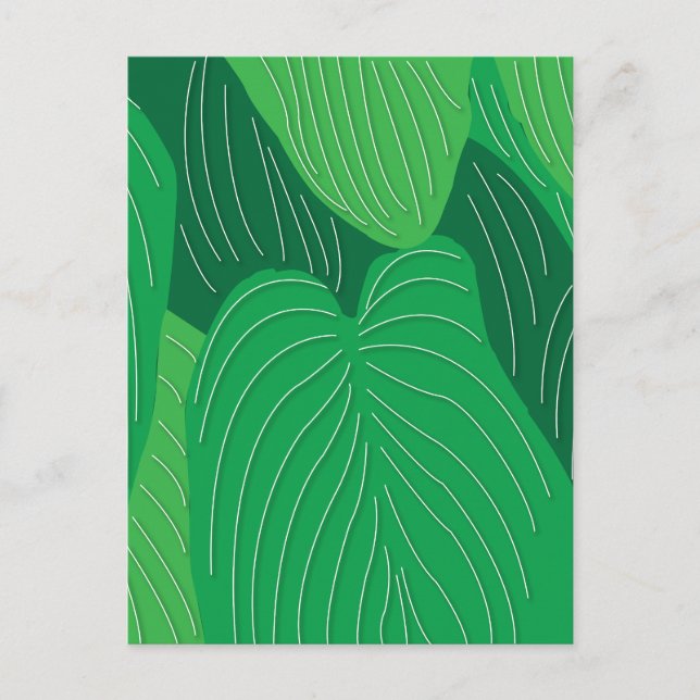 Cartão Postal Botânico Folhas Verdes (Frente)
