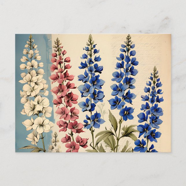 Cartão Postal Botânico Rustic Delphinium (Frente)