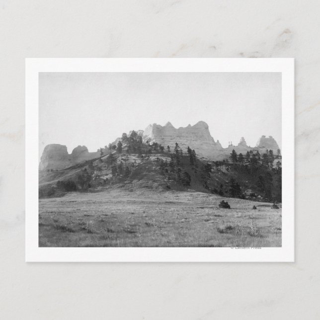 Cartão Postal Botão Corvo perto de Ft. Fotografia Robinson (Frente)