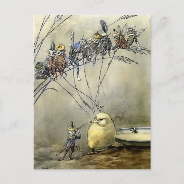 Cartão Postal "Bother the Gnat" por A Carcaça Duncan (Frente)