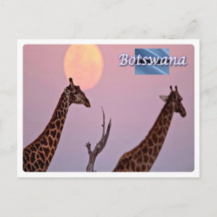 Cartão Postal Botsuana -
