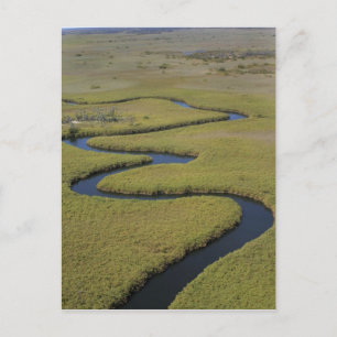 Cartão Postal Botsuana, África. Vista aérea do rio Okavango.