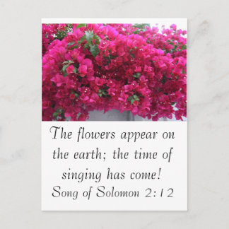 Cartão Postal Bougainvilla - Escritura: Canção de Salomão 2:12