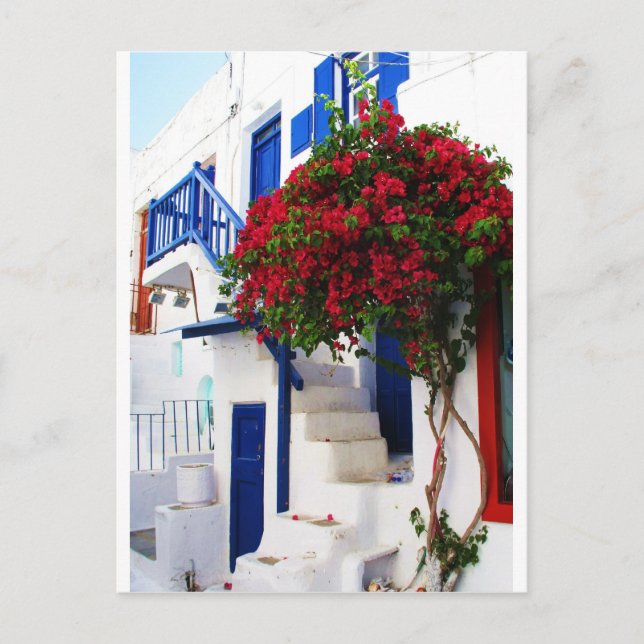 Cartão Postal Bougainvillea crescendo fora de uma casa, Mykonos (Frente)