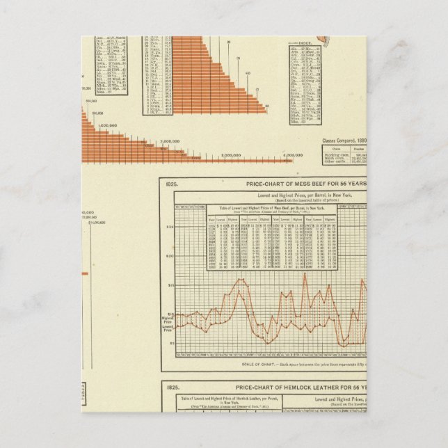 Cartão Postal Bovinos (Frente)