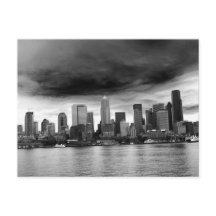 Bovinos negros e brancos