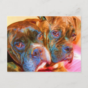 Cartão postal Boxer Art