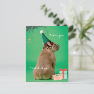 Cartão Postal Boxer Cachorro Bonito Natal Eu tenho sido um bom c