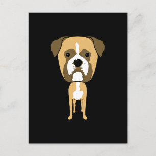 Cartão Postal Boxer Dog. Cabeça superdimensionada.