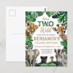 Cartão Postal Boys Safari Dois Aniversário Selvagem