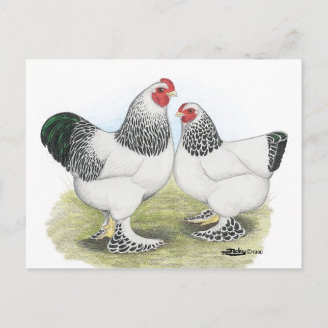 Cartão Postal Brahma: Luz2 (Frente)