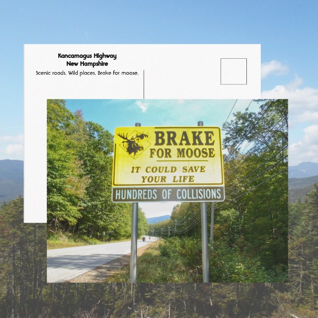 Cartão Postal Brake for Moose Kancamagus Highway New Hampshire (Criador carregado)