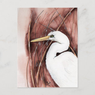 cartão postal branco