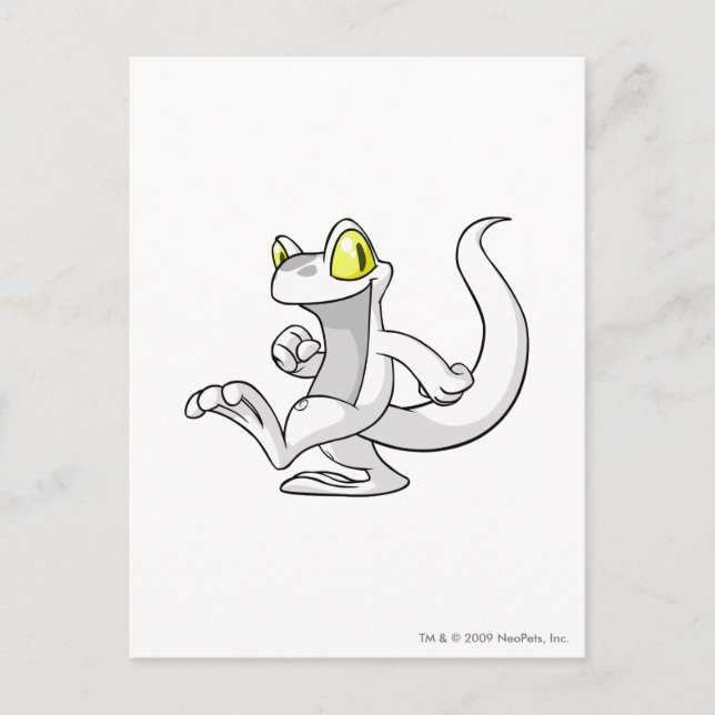 Cartão Postal Branco de Techo (Frente)