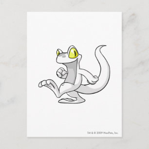 Cartão Postal Branco de Techo