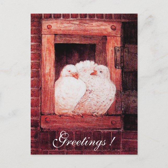 Cartão Postal BRANCO DOBRA NA JANELA rosa-vermelho (Frente)