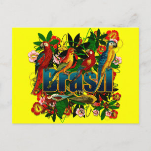 Cartão Postal Brasil Brasil Pássaros da Floresta Tropical