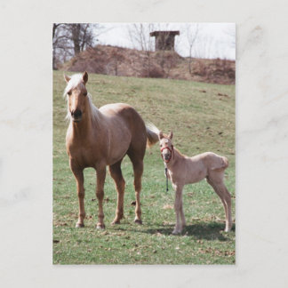 Cartão Postal Bree & Jac