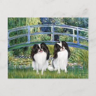 Cartão Postal Bridge - Dois Chins Japoneses (2 BW)
