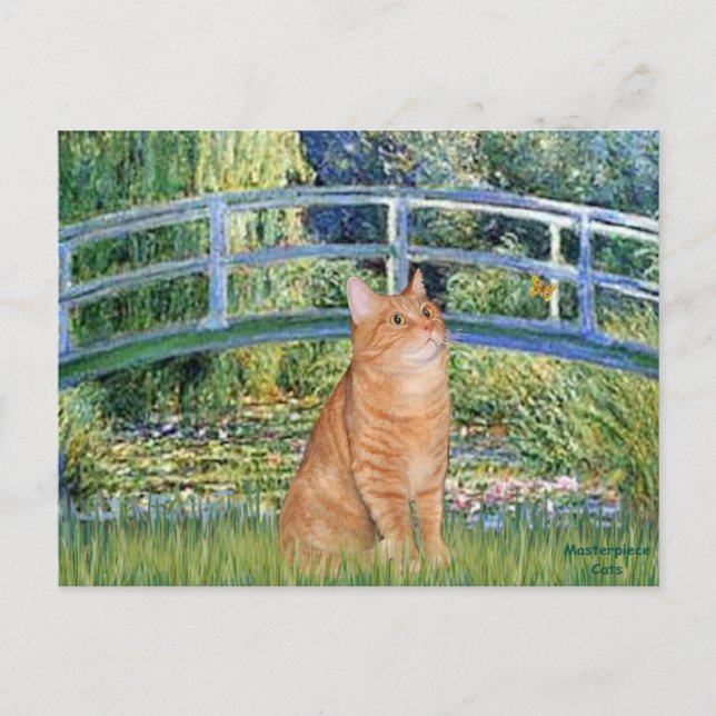 Cartão Postal Bridge - Orange Tabby SH cat 46 (Frente)