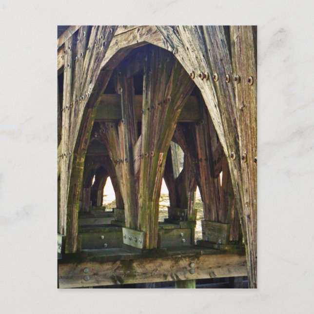 Cartão postal Bridge To Nowhere (Frente)