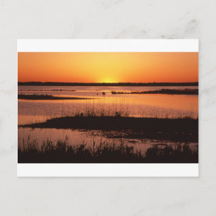 Cartão Postal Brigantine NWR em Sunset.jpg