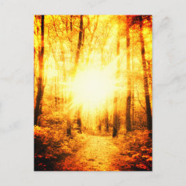CARTÃO POSTAL BRIGHT DO GOLDSUN
