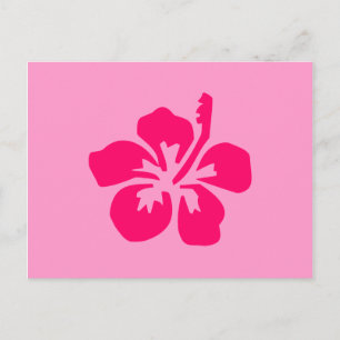 Cartão Postal Bright Pink Hibiscus