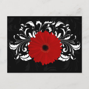 Cartão Postal Bright Red Gerbera Daisy em Preto