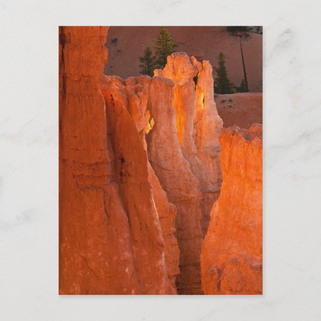 Cartão Postal Brilho interno (Frente)