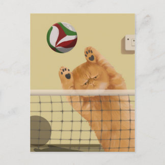 Cartão Postal Brincadeira Brincadeira Gato de Voleibol