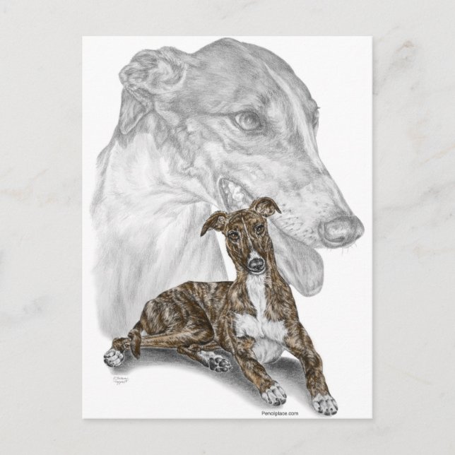 Cartão Postal Brindle Greyhound Dog Art (Frente)