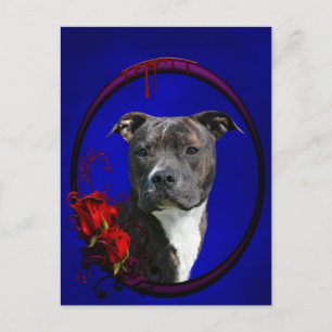 Cartão Postal Brindle pitbull com rosas
